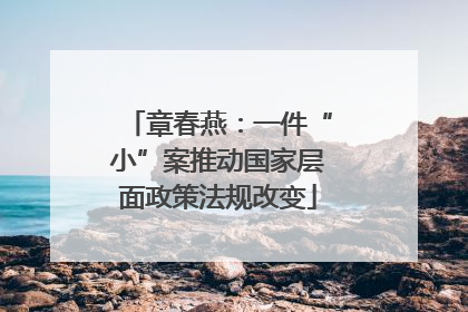 章春燕：一件“小”案推动国家层面政策法规改变