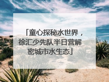 童心探秘水世界，徐汇少先队半日营解密城市水生态