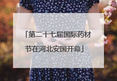 第二十七届国际药材节在河北安国开幕