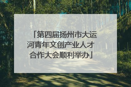 第四届扬州市大运河青年文创产业人才合作大会顺利举办