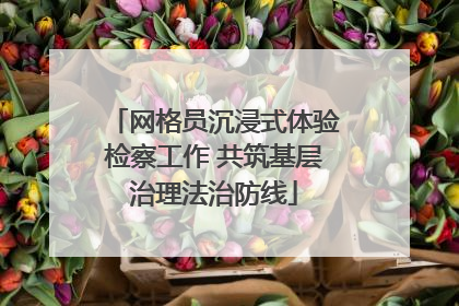网格员沉浸式体验检察工作 共筑基层治理法治防线