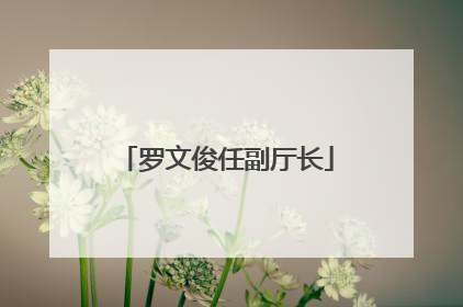 罗文俊任副厅长