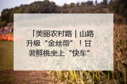 美丽农村路｜山路升级“金丝带”！甘薯鲜桃坐上“快车”，开去大市场