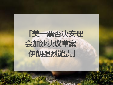 美一票否决安理会加沙决议草案 伊朗强烈谴责