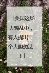 美国这场大骚乱中，有人提出一个大胆想法！