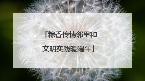 粽香传情邻里和 文明实践暖端午