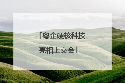 粤企硬核科技亮相上交会