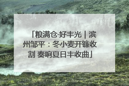 粮满仓·好丰光｜滨州邹平：冬小麦开镰收割 奏响夏日丰收曲