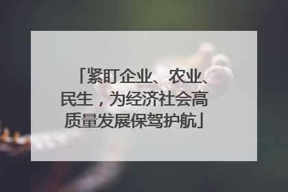 紧盯企业、农业、民生，为经济社会高质量发展保驾护航