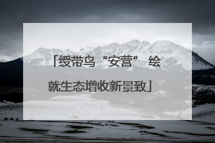绶带鸟“安营” 绘就生态增收新景致