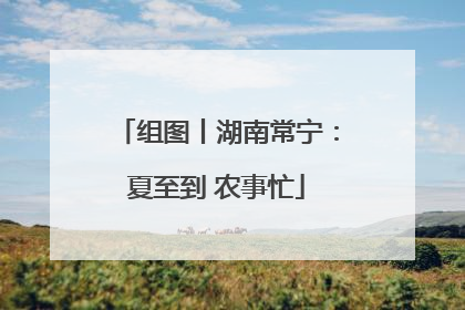 组图丨湖南常宁：夏至到 农事忙