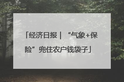 经济日报｜“气象+保险”兜住农户钱袋子