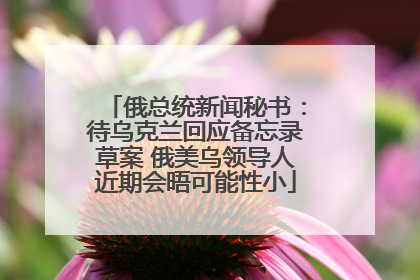 俄总统新闻秘书：待乌克兰回应备忘录草案 俄美乌领导人近期会晤可能性小
