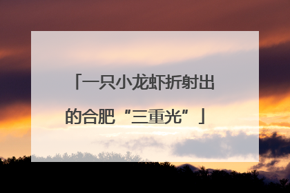 一只小龙虾折射出的合肥“三重光”