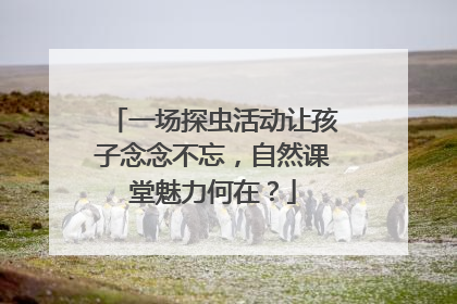 一场探虫活动让孩子念念不忘，自然课堂魅力何在？