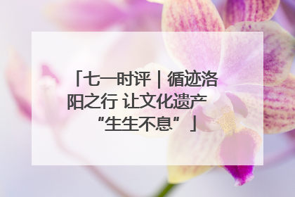 七一时评｜循迹洛阳之行 让文化遗产“生生不息”