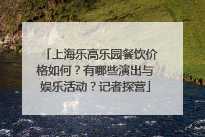 上海乐高乐园餐饮价格如何？有哪些演出与娱乐活动？记者探营