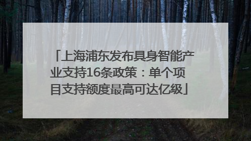 上海浦东发布具身智能产业支持16条政策：单个项目支持额度最高可达亿级