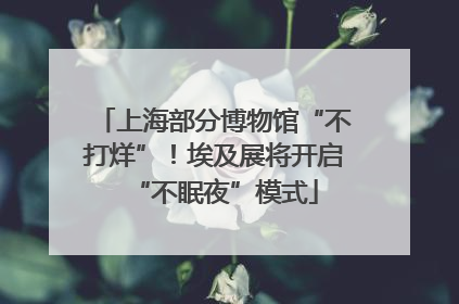 上海部分博物馆“不打烊”！埃及展将开启“不眠夜”模式