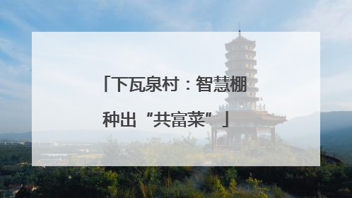 下瓦泉村：智慧棚种出“共富菜”