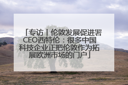 专访丨伦敦发展促进署CEO西特伦：很多中国科技企业正把伦敦作为拓展欧洲市场的门户