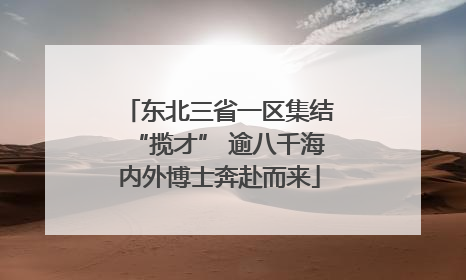 东北三省一区集结“揽才” 逾八千海内外博士奔赴而来