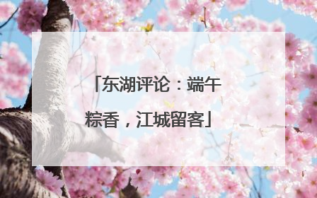 东湖评论：端午粽香，江城留客