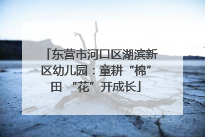 东营市河口区湖滨新区幼儿园：童耕“棉”田 “花”开成长