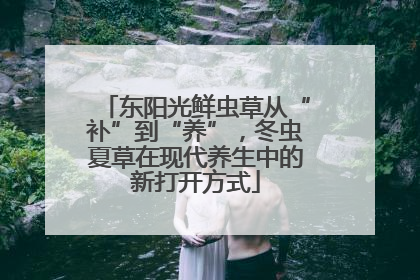 东阳光鲜虫草从“补”到“养”，冬虫夏草在现代养生中的新打开方式
