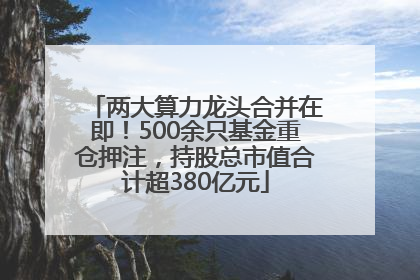 两大算力龙头合并在即！500余只基金重仓押注，持股总市值合计超380亿元
