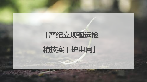 严纪立规强运检 精技实干护电网