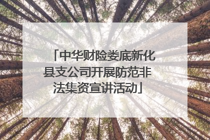 中华财险娄底新化县支公司开展防范非法集资宣讲活动