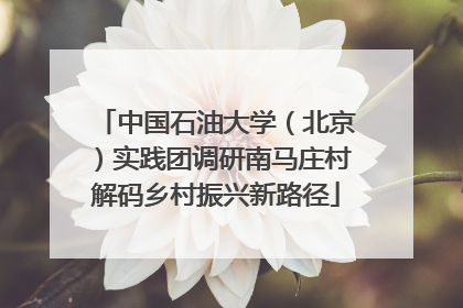中国石油大学（北京）实践团调研南马庄村解码乡村振兴新路径