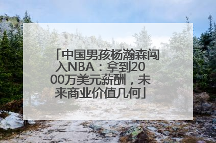 中国男孩杨瀚森闯入NBA：拿到2000万美元薪酬，未来商业价值几何