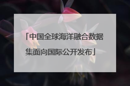 中国全球海洋融合数据集面向国际公开发布