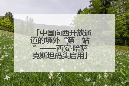 中国向西开放通道的境外“第一站”——西安·哈萨克斯坦码头启用