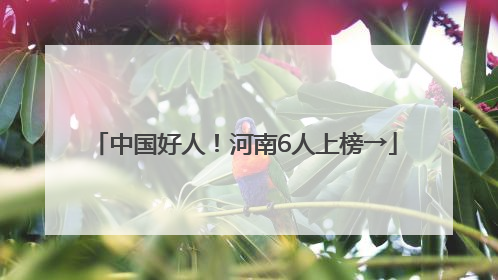 中国好人！河南6人上榜→