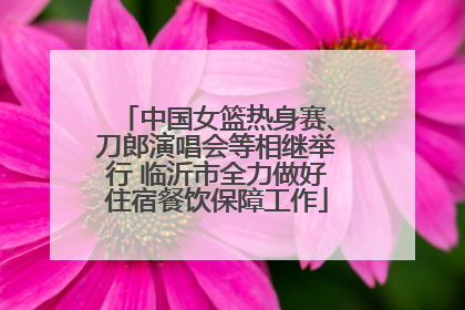 中国女篮热身赛、刀郎演唱会等相继举行 临沂市全力做好住宿餐饮保障工作