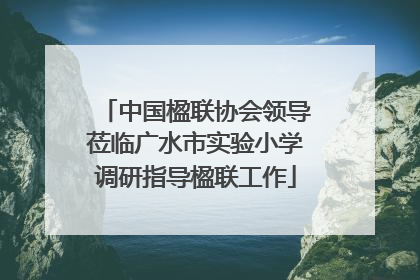 中国楹联协会领导莅临广水市实验小学调研指导楹联工作