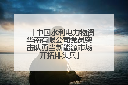 中国水利电力物资华南有限公司党员突击队勇当新能源市场开拓排头兵
