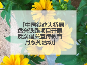 中国铁建大桥局盘兴铁路项目开展反腐倡廉宣传教育月系列活动