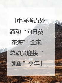 中考考点外涌动“向日葵花海” 全家总动员迎接“凯旋”少年