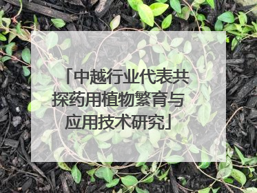 中越行业代表共探药用植物繁育与应用技术研究