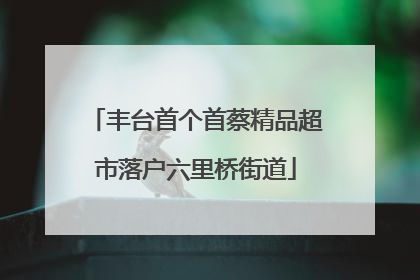 丰台首个首蔡精品超市落户六里桥街道