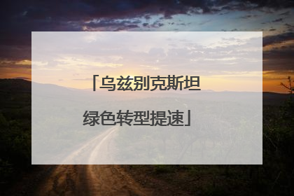 乌兹别克斯坦绿色转型提速