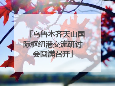 乌鲁木齐天山国际枢纽港交流研讨会圆满召开