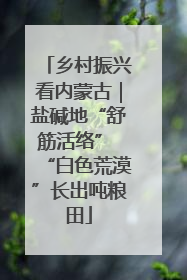 乡村振兴看内蒙古｜盐碱地“舒筋活络” “白色荒漠”长出吨粮田
