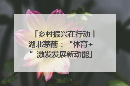乡村振兴在行动丨湖北茅箭：“体育+”激发发展新动能