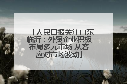 人民日报关注山东临沂：外贸企业积极布局多元市场 从容应对市场波动