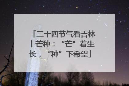 二十四节气看吉林丨芒种：“芒”着生长，“种”下希望